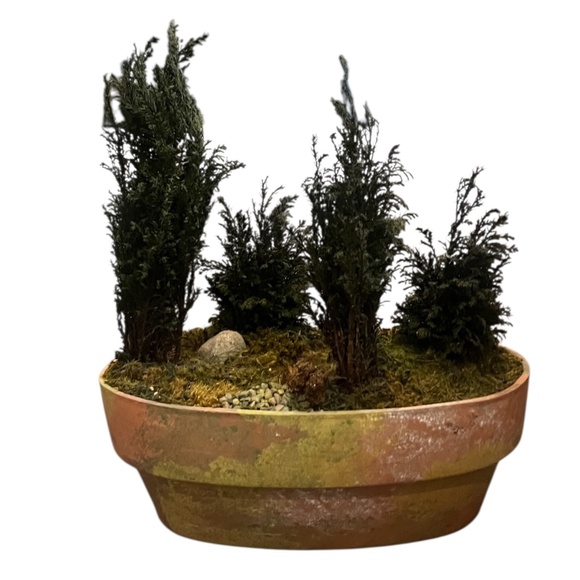 FOREVER GREEN ART Potted Quartet Mini Cypress Tree In‎ Oval Terra Cotta Planter - Picture 2 of 12